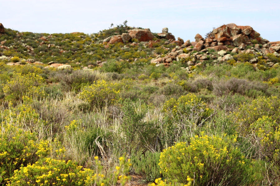 3 Bedroom Property for Sale in Fraserburg Rural Northern Cape